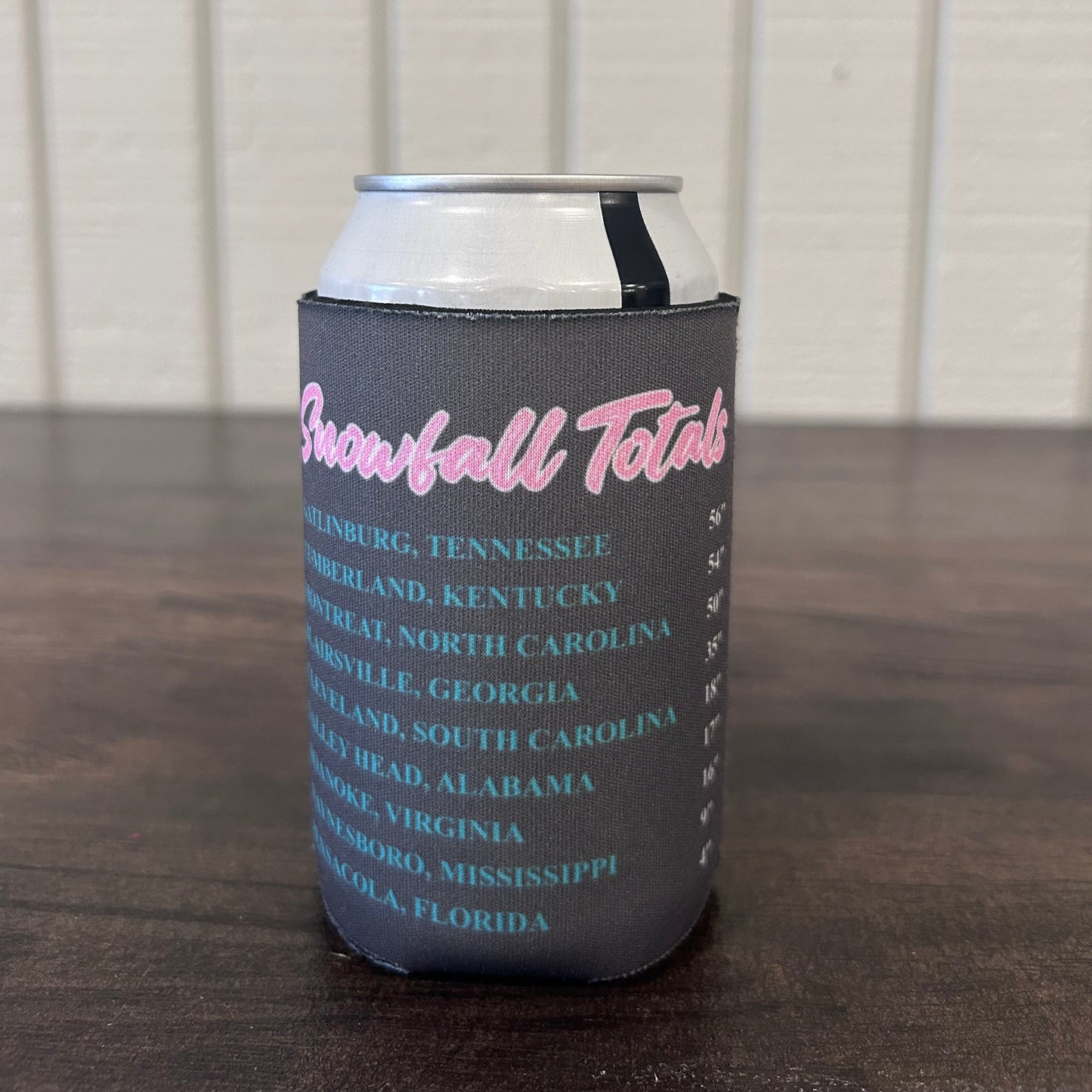 Grey can cooler with the information about snowfall totals during the blizzard of 1993 for the top 9 cities